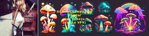 соль курить ск Яровое