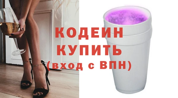 гидра Кодинск