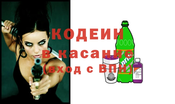 гидра Кодинск