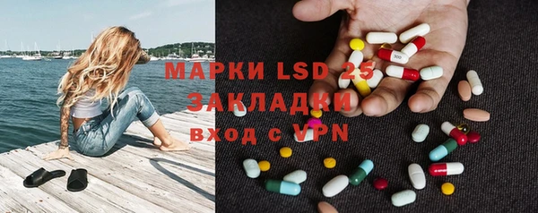 гидра Кодинск