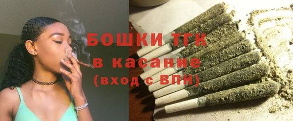 гидра Кодинск